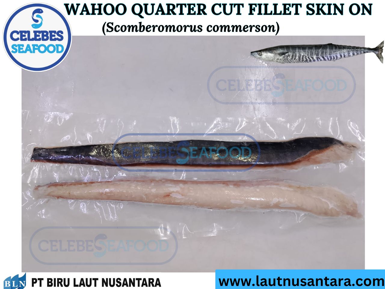 WAHOO QUARTER CUT FILLET SKIN ON